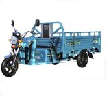 人力車の乗客1200w Eのバイクの貨物三輪車